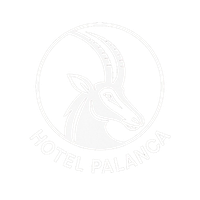 Hotel Palanca, Porto